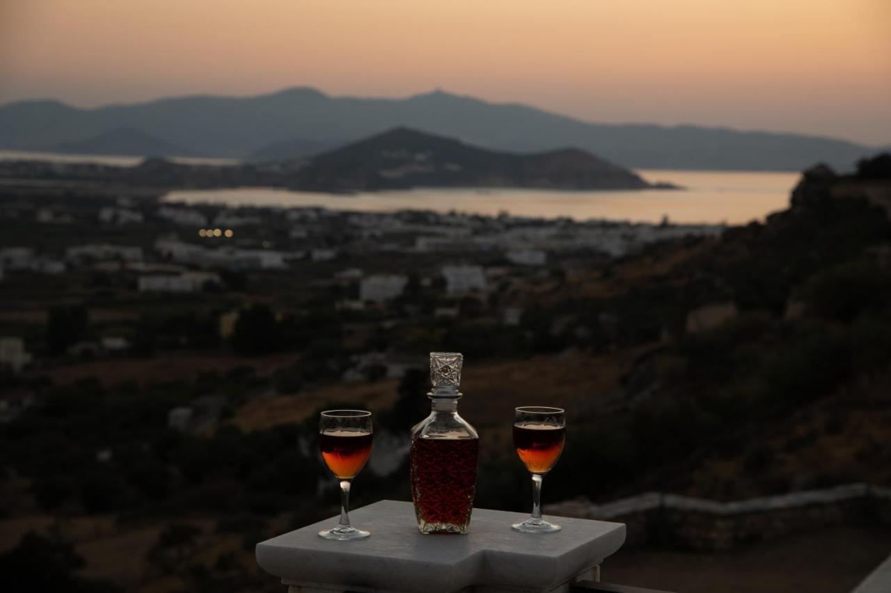 الشقق الفندقية Naxos Cityفي  Alta Vista Naxos المظهر الخارجي الصورة