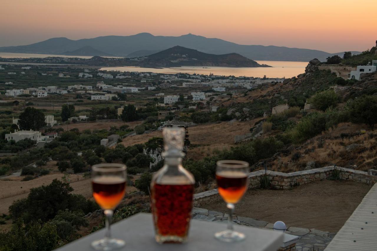 الشقق الفندقية Naxos Cityفي  Alta Vista Naxos المظهر الخارجي الصورة