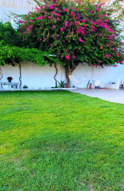 الشقق الفندقية Naxos Cityفي  Alta Vista Naxos المظهر الخارجي الصورة